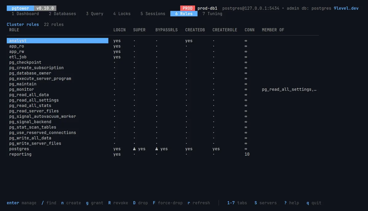 The Roles screen listing roles with LOGIN, SUPERUSER, BYPASSRLS, CREATEDB, CREATEROLE and connection limits.
